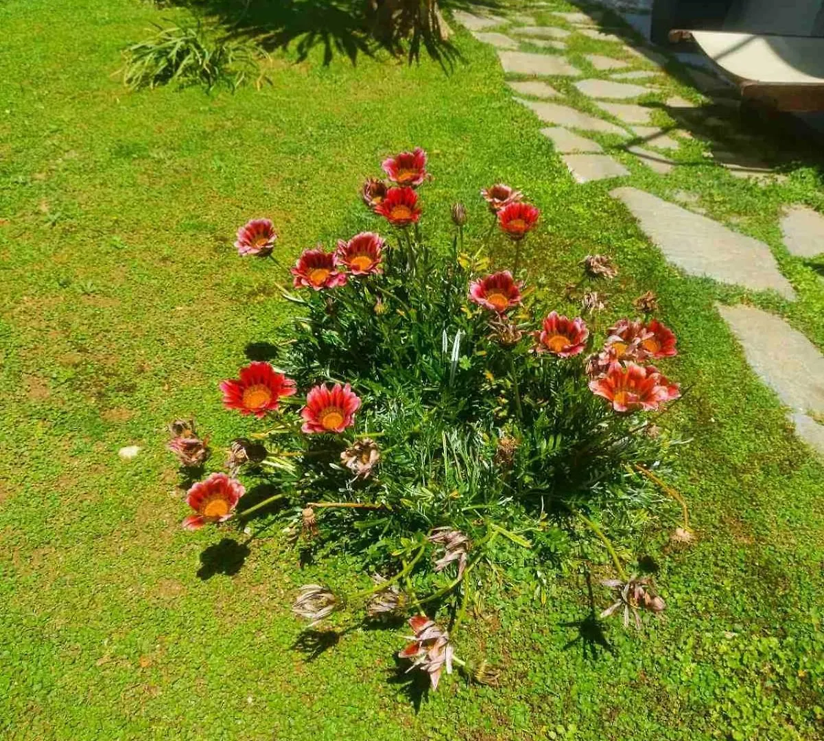 Sunrise Apartment 2 Souda Greece